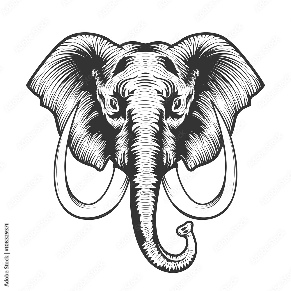 Naklejka premium Elephant head illustration.