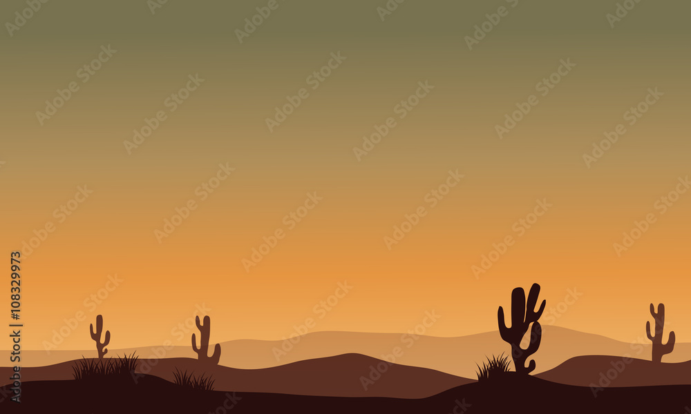 Cactus in desert silhouette