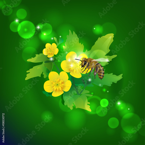 A bee on a flower. The honey yield and bee pollination of the flower. Yellow flower on a branch. Green lush greenery.Vector
