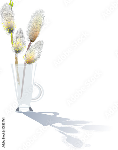 pussy willow in glass with shadow