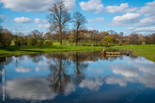 Fototapeta Naklejka Na Ścianę i Meble -  Reflections in a pond.