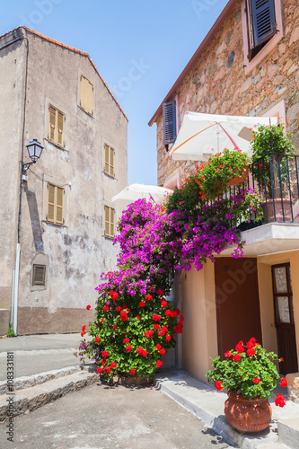 Decorative flowers. Narrow street, Corsica © evannovostro