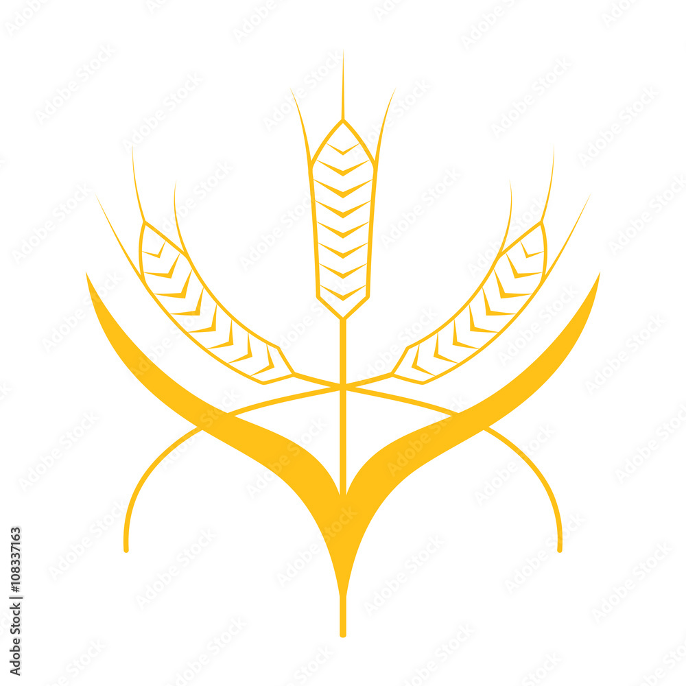 Ears of Wheat, Barley or Rye vector visual graphic icon Ears of Wheat, Barley or Rye vector visual graphic icon