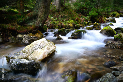 Mountain brook among stones and forest