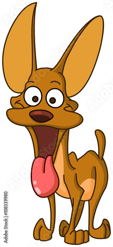 Miniature pinscher dog