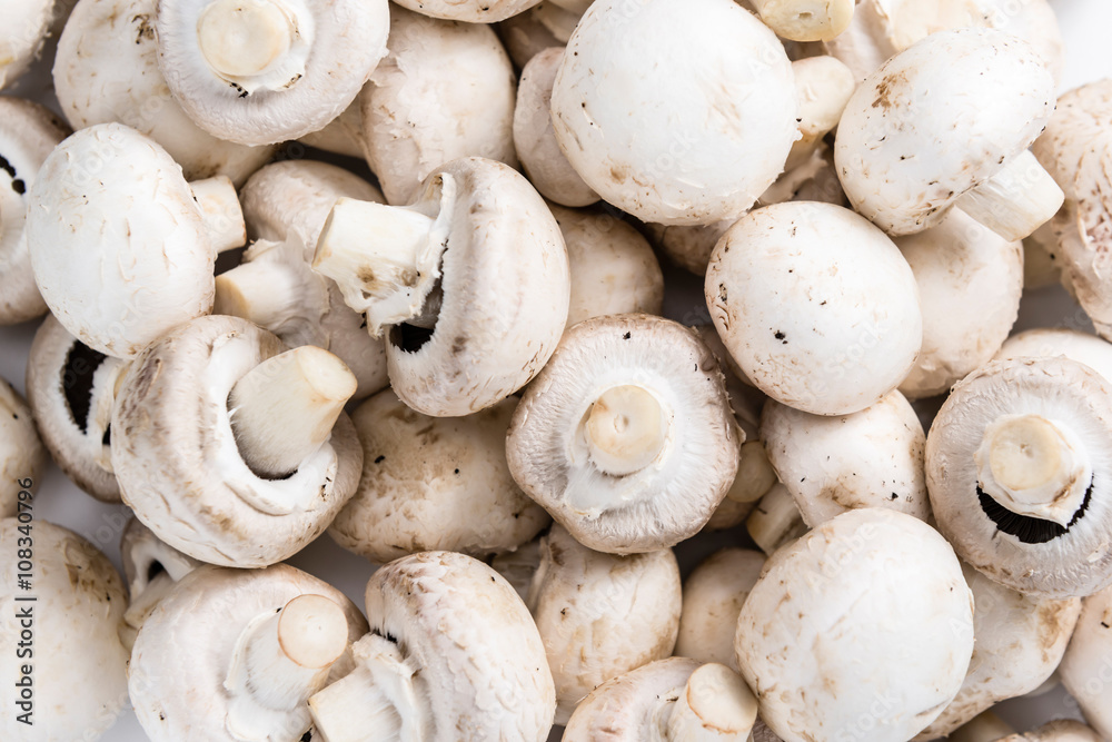 White Mushrooms (background image) White Mushrooms (background image)
