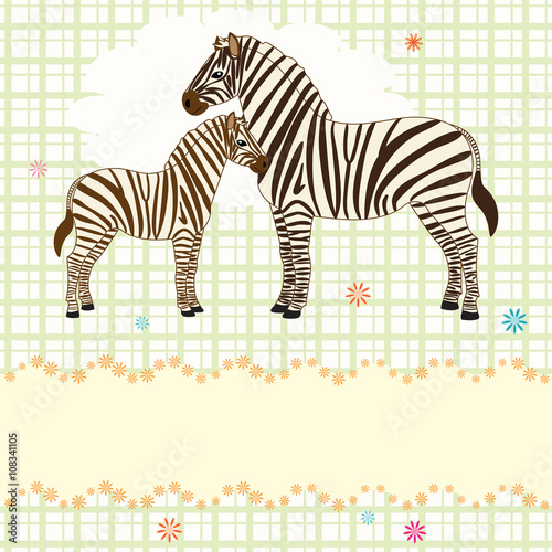 Nice vector card with two zebras