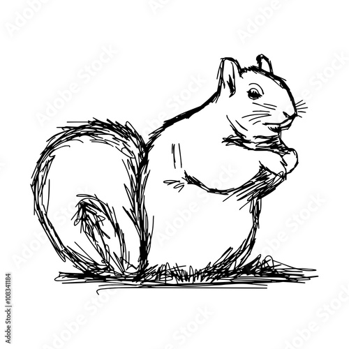 illustration vector hand draw doodles of squirrel isolated on white background