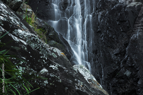 Cedar Creek waterfall in Mount Tambourine, Queensland.