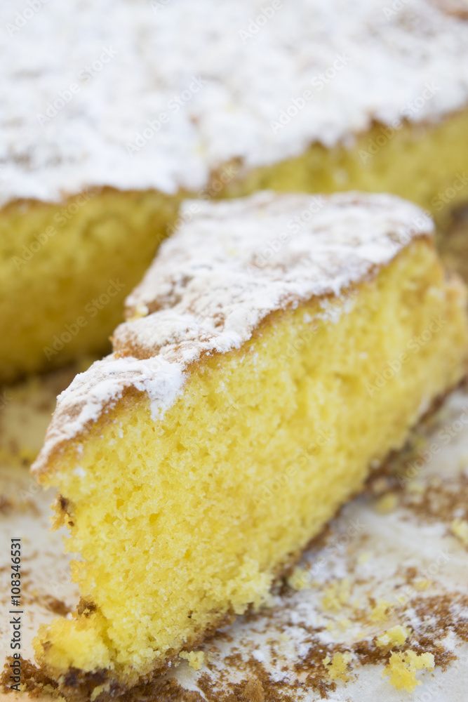 a piece of sponge cake a piece of sponge cake
