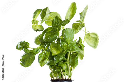 Fresh delicious variety of ...