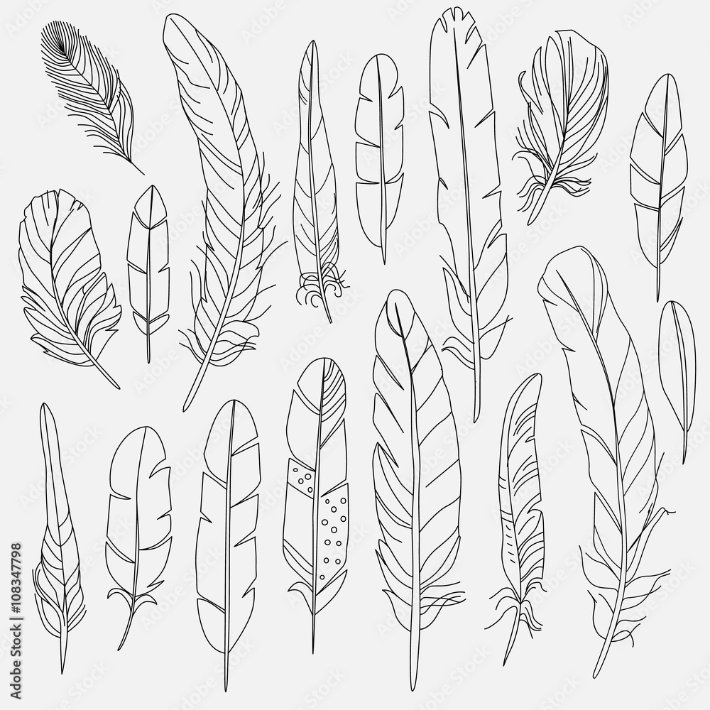 © ARTvektor - set handdrawn feathers © ARTvektor - set handdrawn feathers