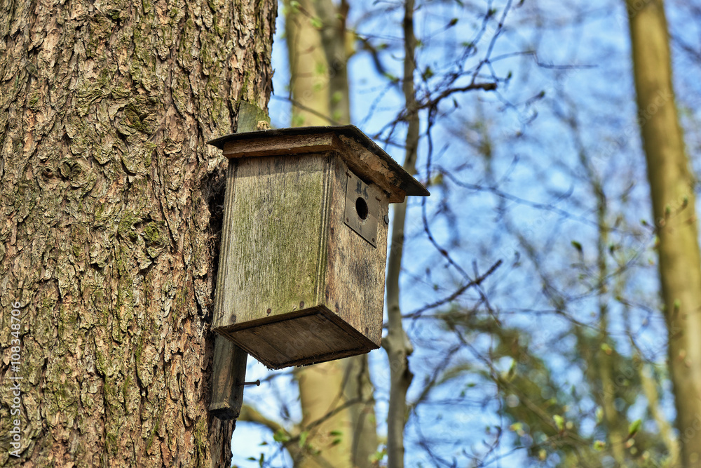 Bird house in tree