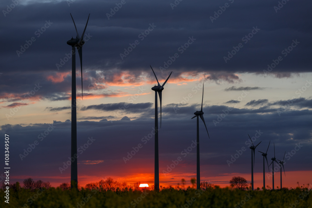 Obraz premium Ecologie, éoliennes au coucher du soleil