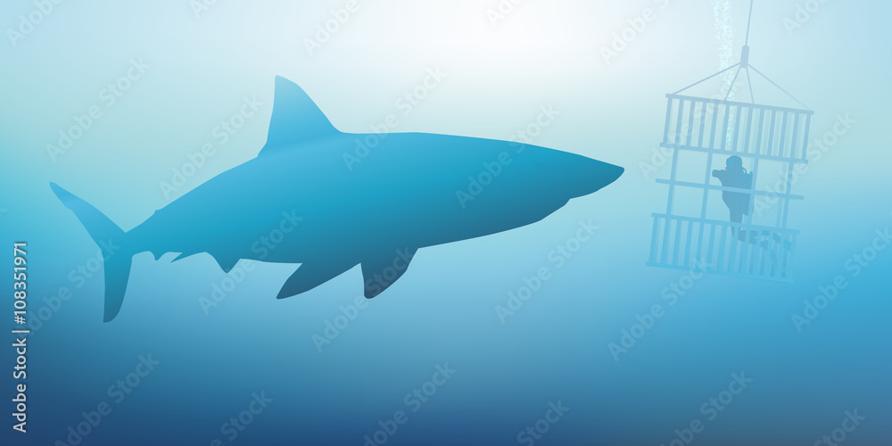 Fototapeta premium Requin - Plongeur