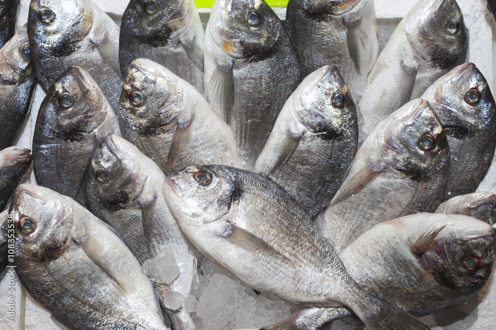 Fototapeta premium Fish at market