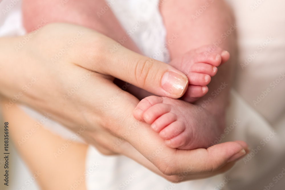 baby legs newborn baby legs newborn