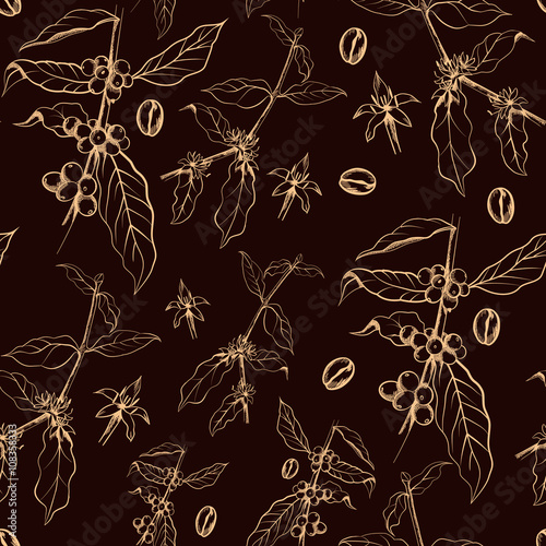 Seamless pattern of coffee tree