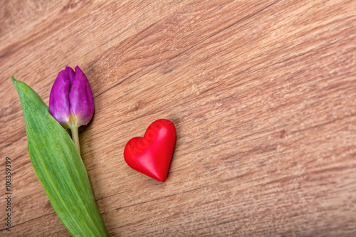Violet tulip and heart on a wooden background