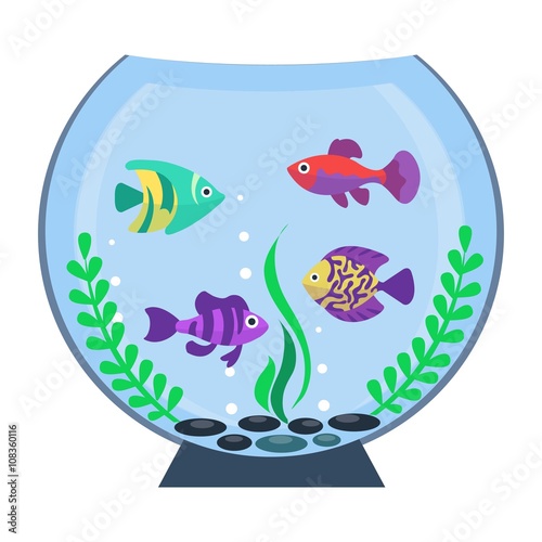 Flat vector aquarium