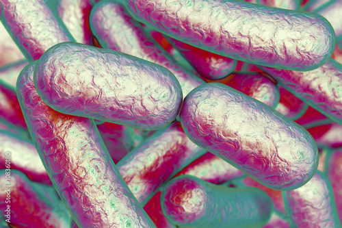Bacterial infection. Rod-shaped bacteria, 3D illustration photo