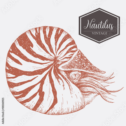 Sea life set
