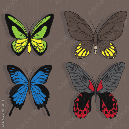 Big realistic collection of colorful butterflies. Ornithoptera croesus and goliath, papilionidae rumanzovia and ulysses, summer flying insects set for greeting cards and  scrapbook.