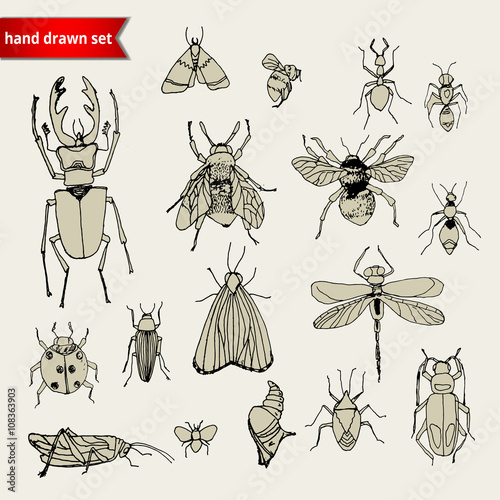 set of doodle insects, sketch