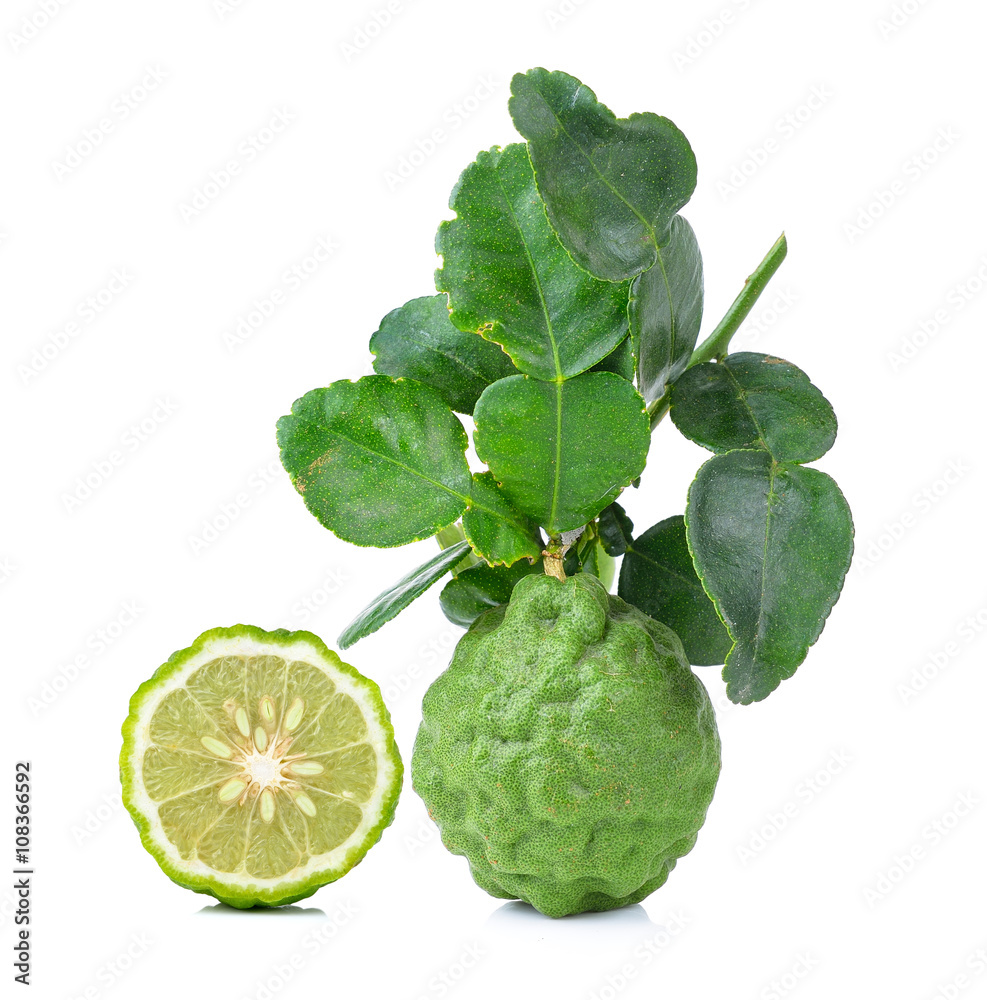 bergamot on white background bergamot on white background