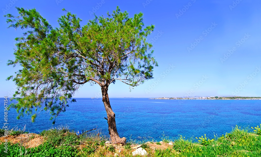 landscape of Sounion in Attica Greece landscape of Sounion in Attica Greece