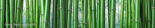 Obraz  z motywem green bamboo background