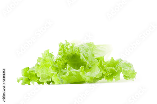 Lettuce isolated on white background