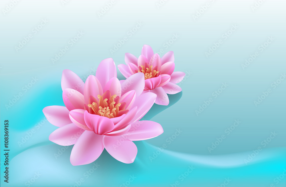 Background With Water Lilies
