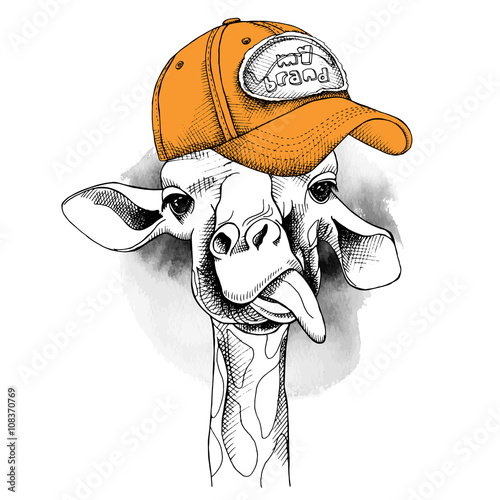 Image Portrait of a giraffe in a cap. Vector illustration.