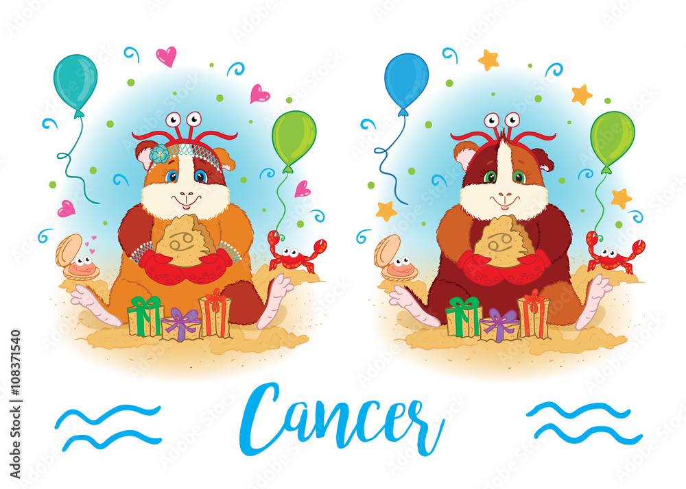 Fototapeta premium The signs of the zodiac. Guinea pig. Cancer.