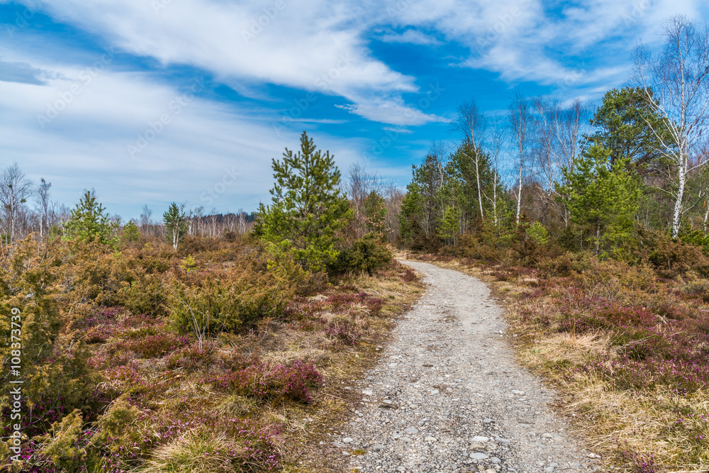 Wanderweg durch die Isarauen in Bayern bei Lenggries Wanderweg durch die Isarauen in Bayern bei Lenggries