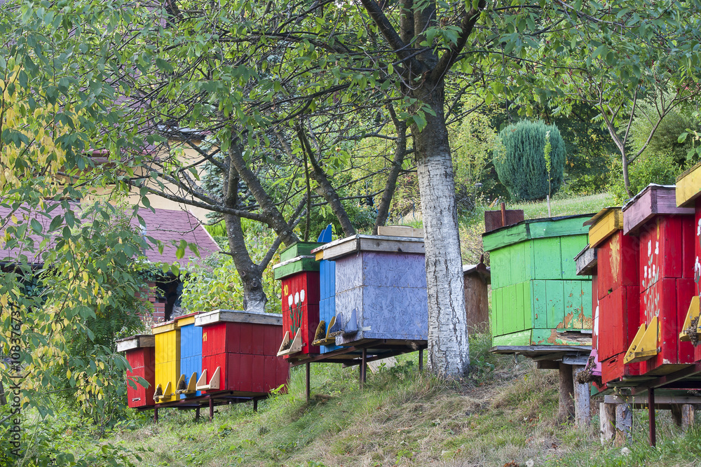 hives hives