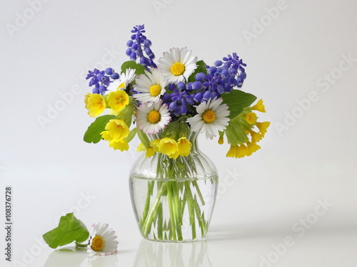 Bouquet of spring colorful flowers in a vase. Floral still life with posy of daisy, grape hyacinth and cowslip flowers in a vase.