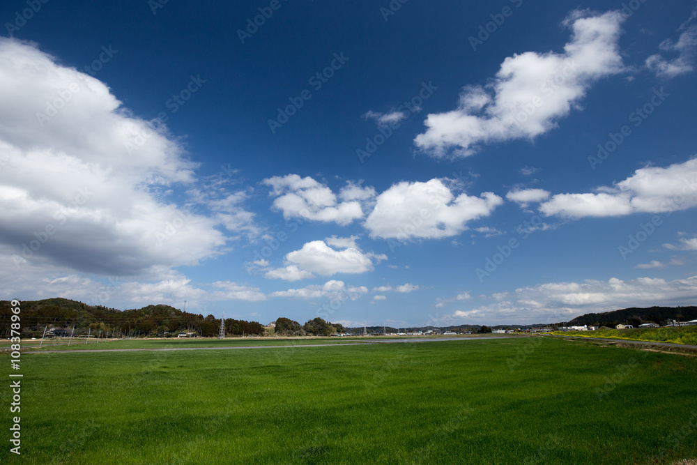 たんぼと青空と雲