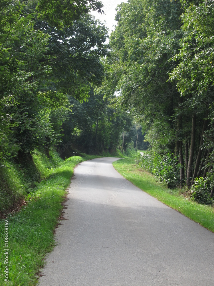 Road at summer Road at summer