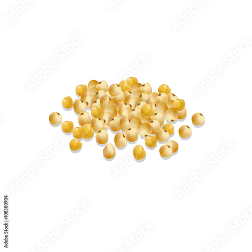 millet cereal. millet vector illustration