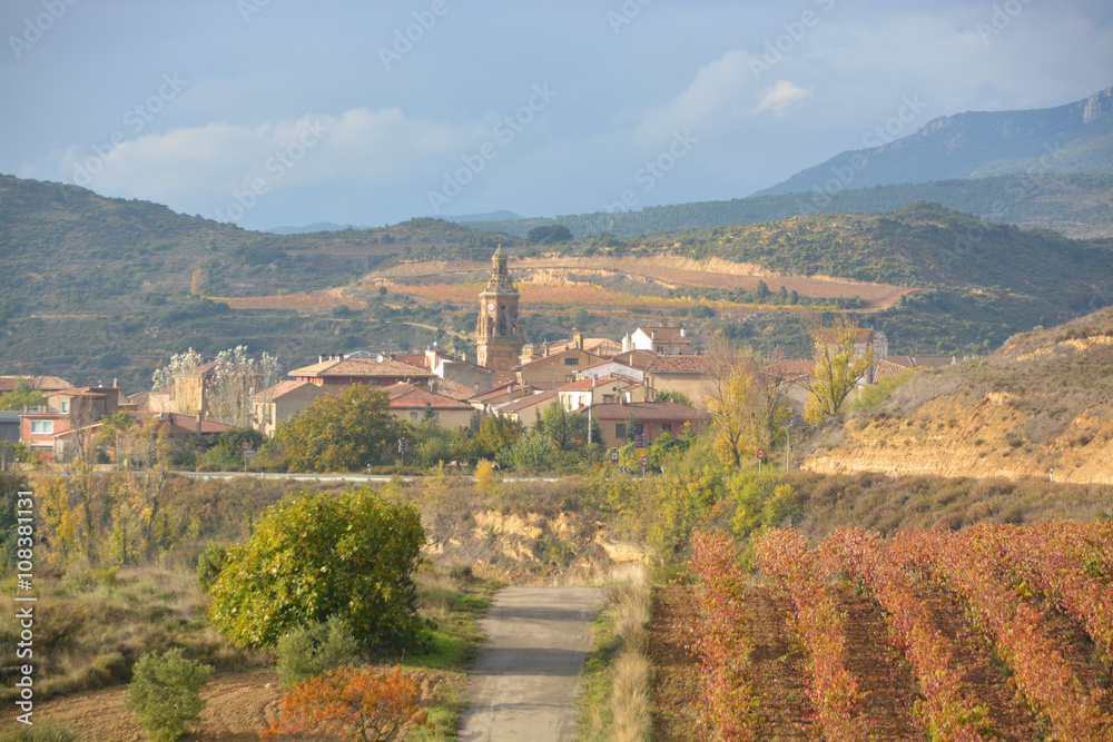 Colores de otoño en La Rioja, España