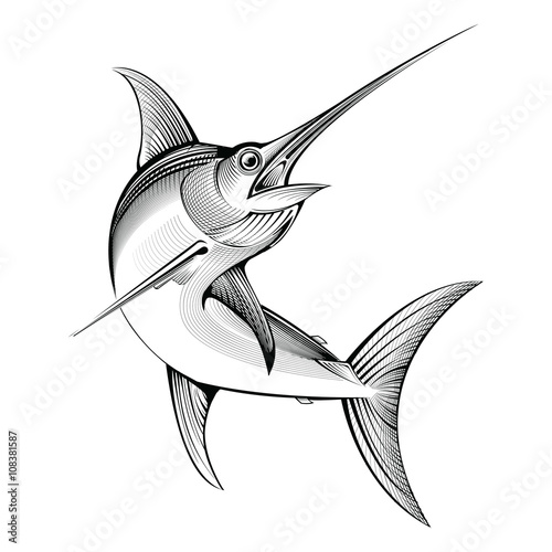 vector swordfish. engraving illustration