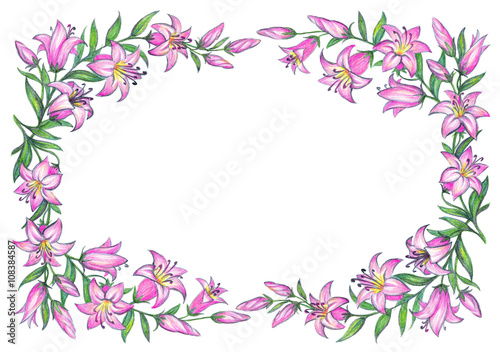 Wallpaper Mural Delicate pink lily. Pencil drawing Torontodigital.ca