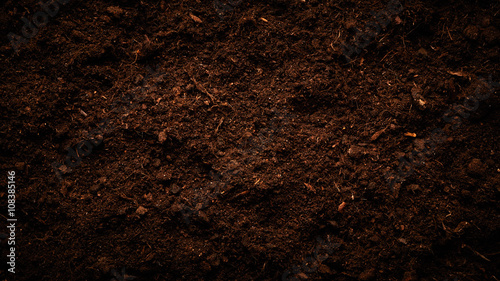 Obraz na płótnie Soil texture