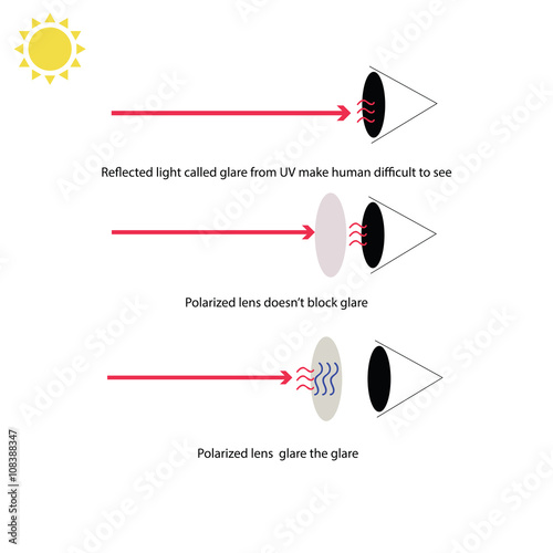 Infographic about how polarized lens of sunglasses prevent our e