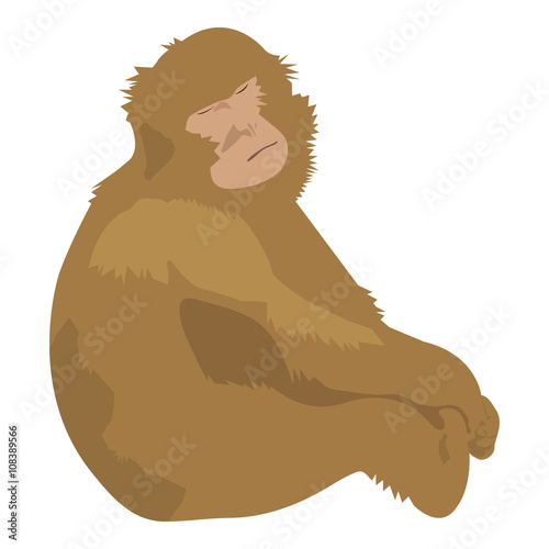 Isolated and hand drawn brown Barbary Macaque (or Macaca Sylvanus, Barbary ape, Magot) cartoon character on white background. Sleeping and sitting monkey - Eps10 Vector graphics and illustration