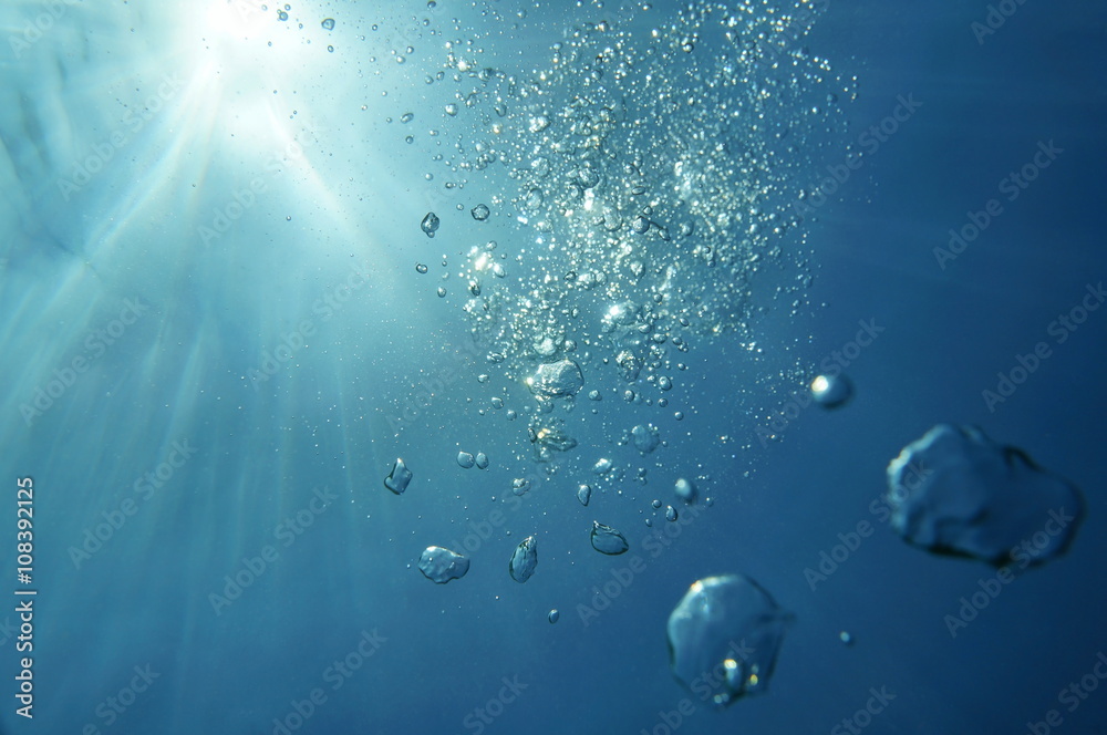 Fototapeta premium Underwater bubbles with sunlight through water surface, natural scene, Caribbean sea