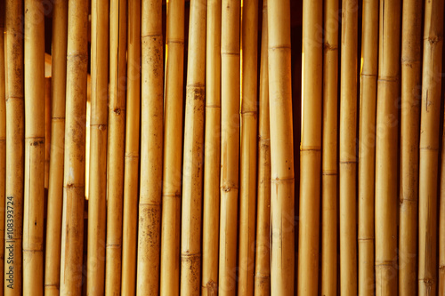 Straight bamboo pipes fence background.