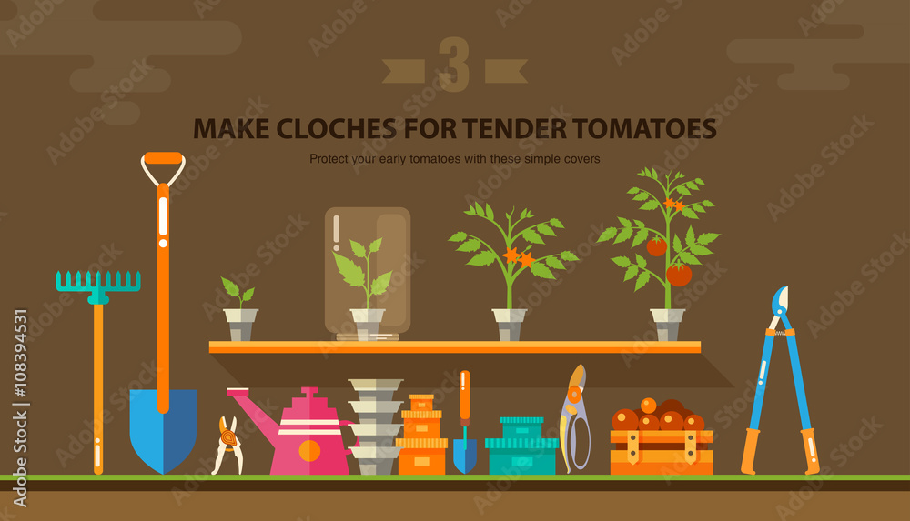 Naklejka premium TENDER TOMATOES 1